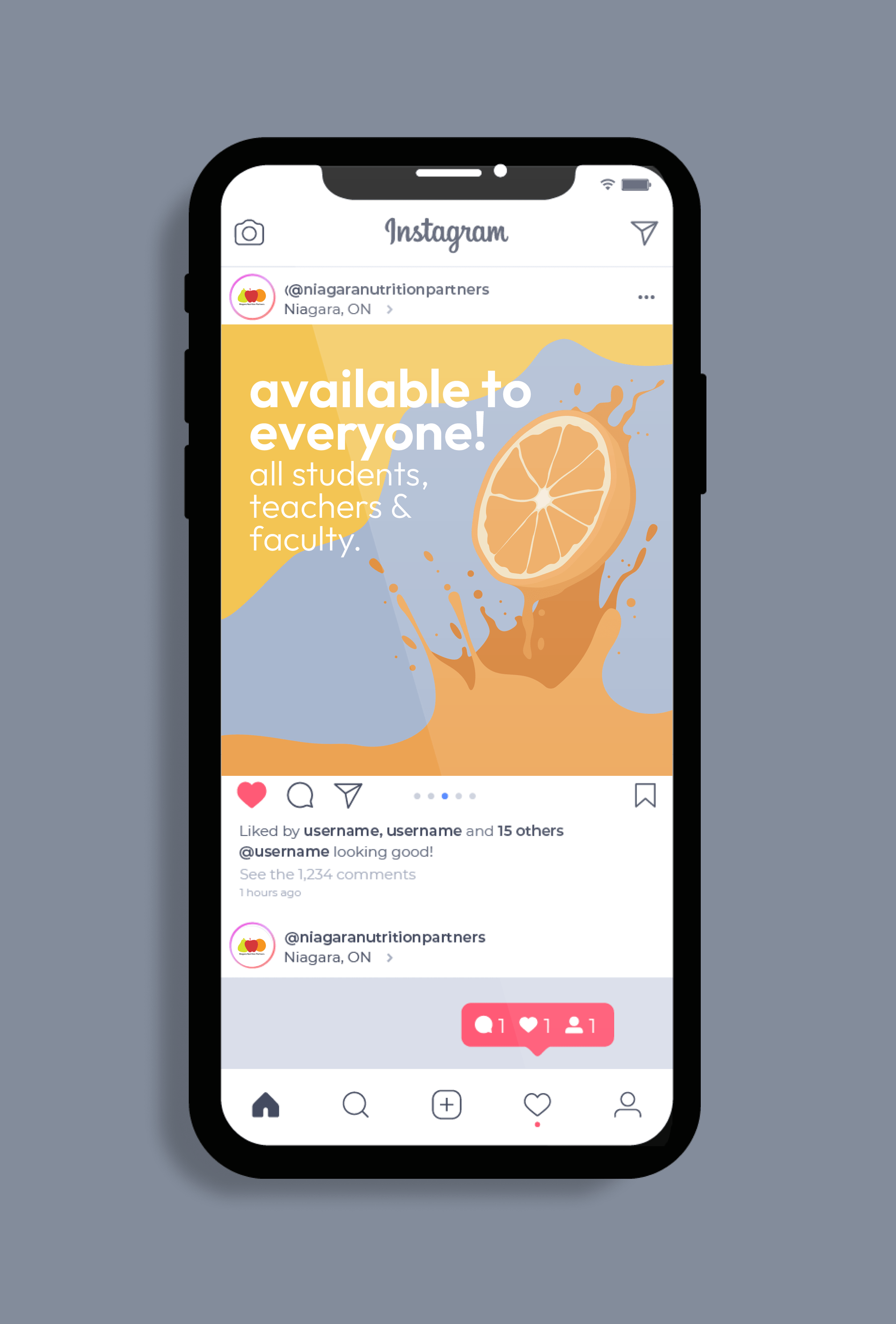 NNP social media